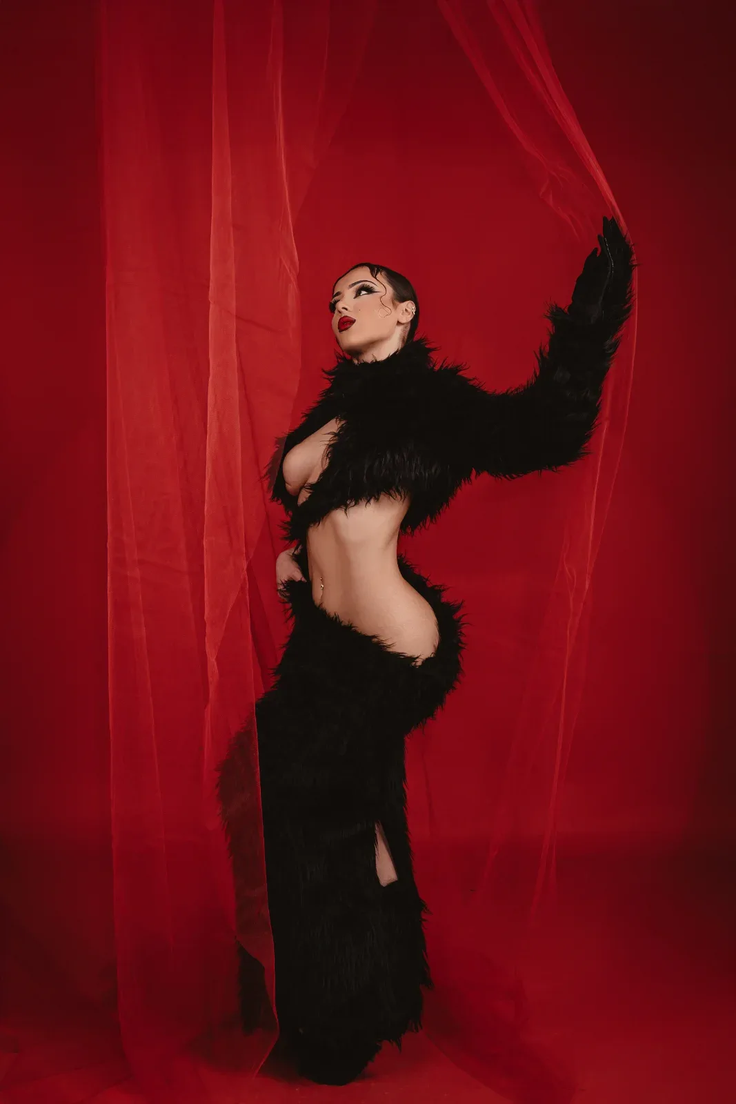 Midnight Noir — image 1