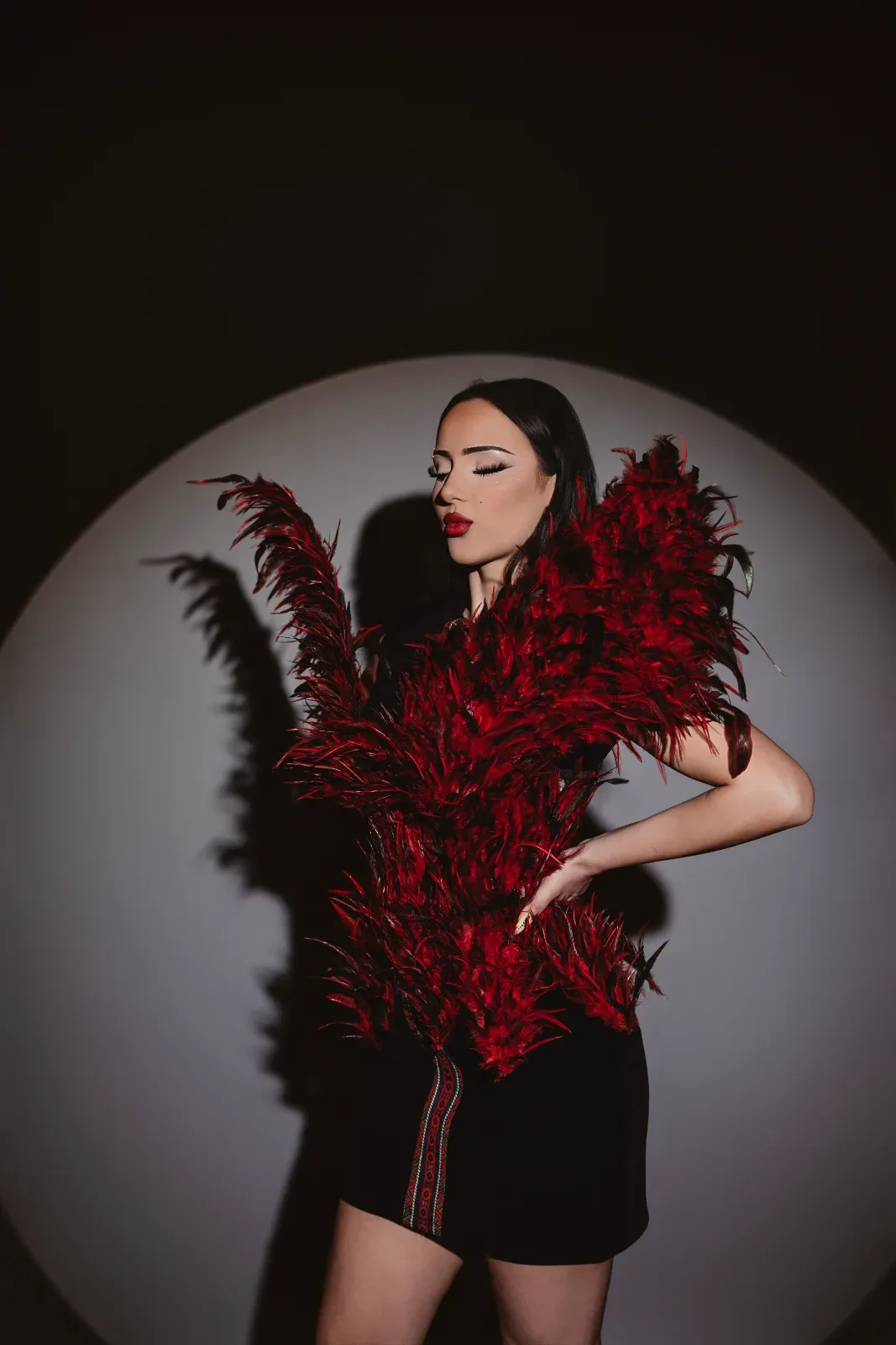 Crimson Eagle — image 1